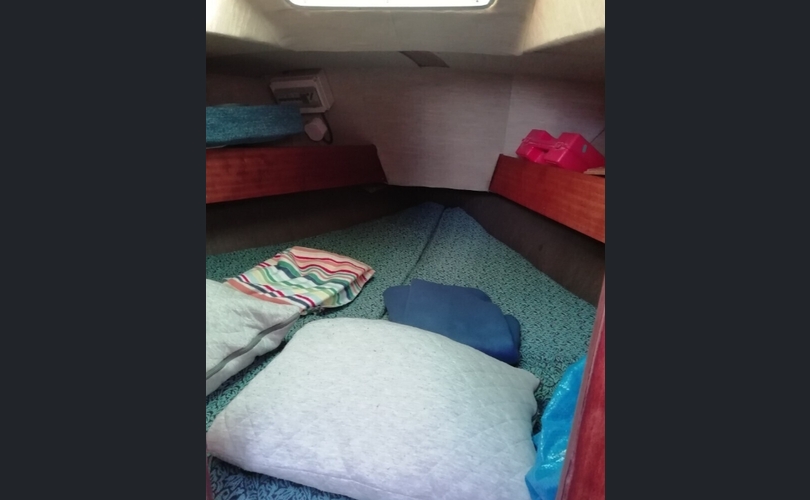 Gib-sea 35 ss ketsi-kuva-8